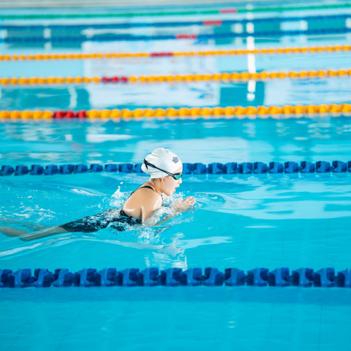 Premier swimming gala